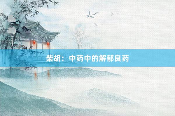 柴胡：中药中的解郁良药