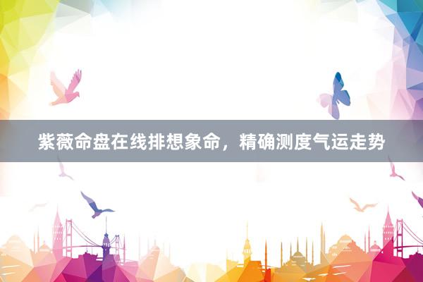 紫薇命盘在线排想象命，精确测度气运走势
