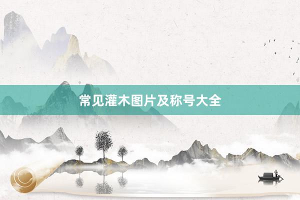 常见灌木图片及称号大全