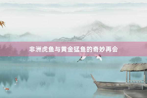 非洲虎鱼与黄金猛鱼的奇妙再会